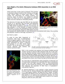 PDF Version