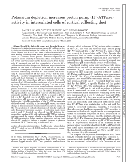 Potassium depletion increases proton pump (H