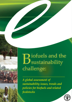 Biofuels and the sustainability challenge