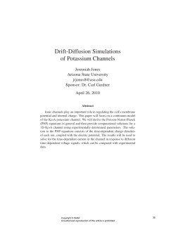 Drift-Diffusion Simulations of Potassium Channels