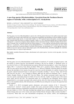 A new frog species (Myobatrachidae: Uperoleia) from the