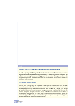The implications of external price pressures for euro area