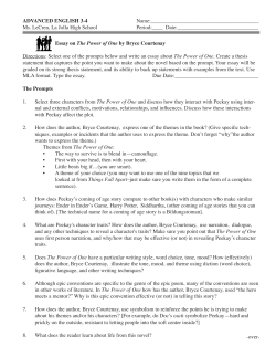 Essay on The Power of One by Bryce Courtenay