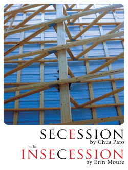 secession insecession