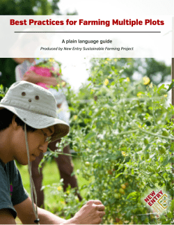 Best Practices for Farming Multiple Plots