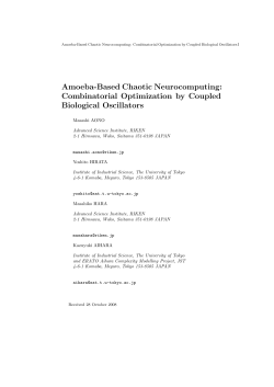 Amoeba-Based Chaotic Neurocomputing: Combinatorial