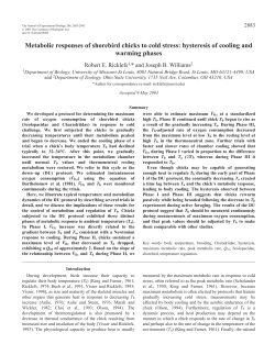 Metabolic responses of shorebird chicks to cold stress