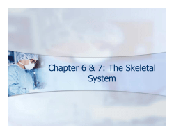 Chapter 6 PowerPoint Notes