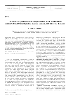 Full text in pdf format