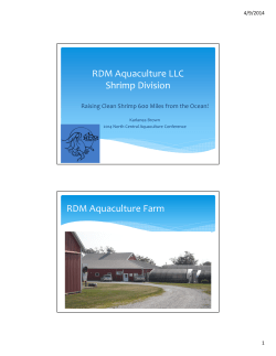 RDM Aquaculture LLC Shrimp Division