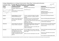 LESSON TWO: Turtle Physical Features and Habitat