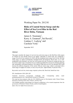 PDF - unu-wider - United Nations University