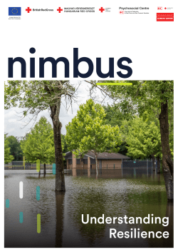 Understanding Resilience