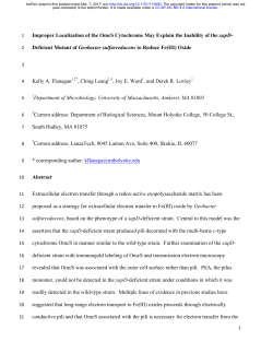 Improper Localization of the OmcS Cytochrome May