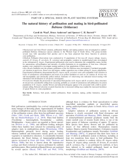 The natural history of pollination and mating in bird