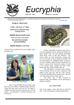 Eucryphia 137 - Robertson Environment Protection Society