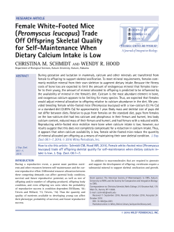 (Peromyscus leucopus) Trade Off Offspring Skeletal Quality