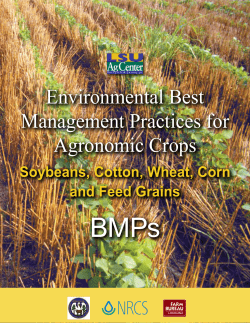 Environmental Best Management Practices for