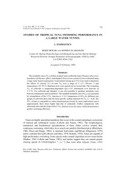 13 studies of tropical tuna swimming performance in a large water