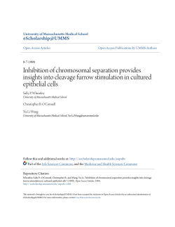 Inhibition of chromosomal separation provides insights into