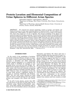 Protein location and elemental composition of urine spheres in