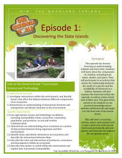 Lesson 1 - incredible world