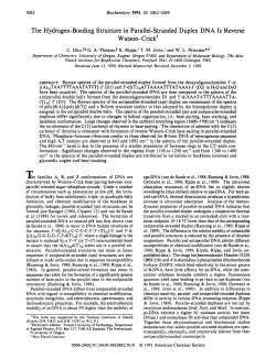 The hydrogen-bonding structure in parallel