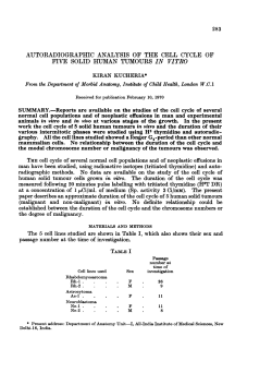 autoradiographic analysis of the cell cycle of five solid