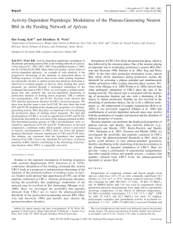 Activity-Dependent Peptidergic Modulation of the Plateau