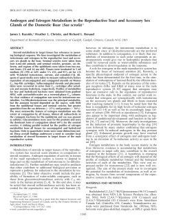 Androgen and Estrogen Metabolism in the Reproductive Tract and