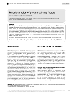 Functional roles of protein splicing factors