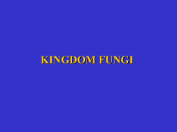kingdom fungi - Warner Pacific College