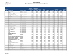 Concur Expense Account Codes by Expense Type and Expense