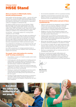 HSSE Stand