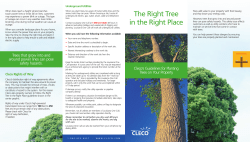 The Right Tree in the Right Place