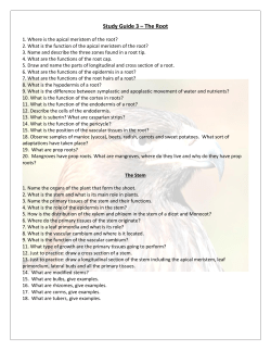 A class exercise to review where does the Plant Kingdom fit