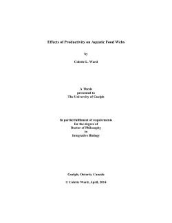 Effects of Productivity on Aquatic Food Webs