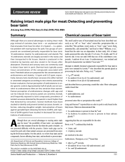 Raising intact male pigs for meat: Detecting and
