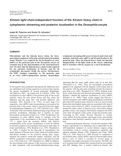 Kinesin light chain-independent function of the
