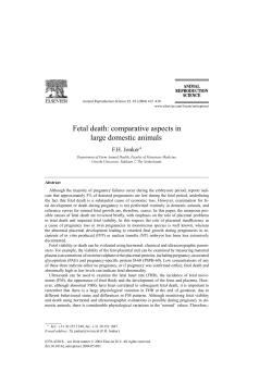 Fetal death: comparative aspects in large domestic animals