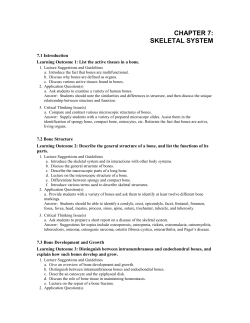 CHAPTER 7: SKELETAL SYSTEM