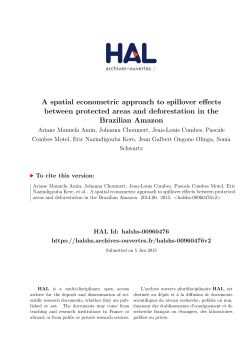 A spatial econometric approach to spillover effects - Hal-SHS
