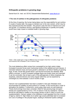 pdf, 800 KB - Daniel Koch