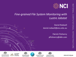Fine-grained File System Monitoring with Lustre Jobstat