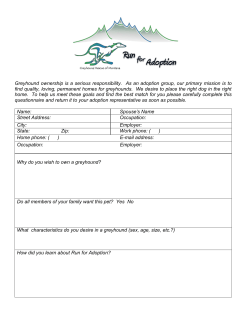Adoption Form