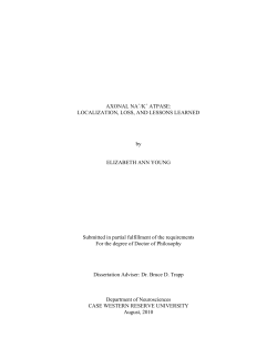 AXONAL NA /K ATPASE - OhioLINK Electronic Theses and