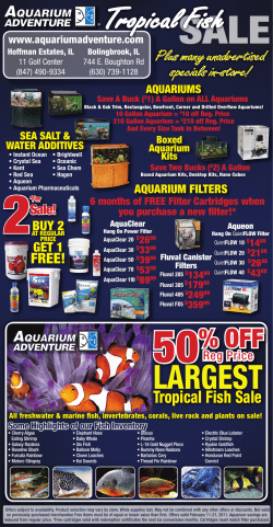 largest - Aquarium Adventure