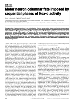 Motor neuron columnar fate imposed by sequential phases of Hox