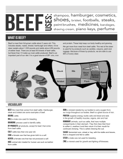 Beef - Illinois Ag in the Classroom