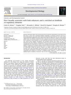 Pitx1 broadly associates with limb enhancers and is enriched on